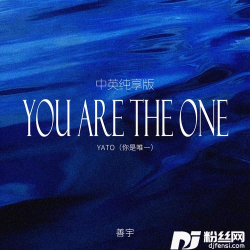 YATO中英纯享版