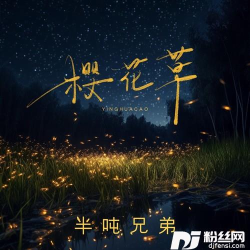 樱花草