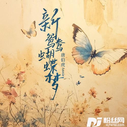 新鸳鸯蝴蝶梦