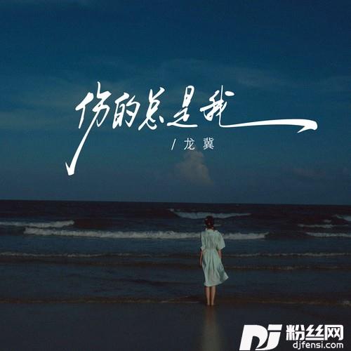 伤的总是我的专辑