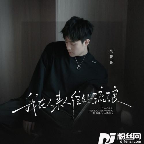 我在人来人往处流浪的专辑