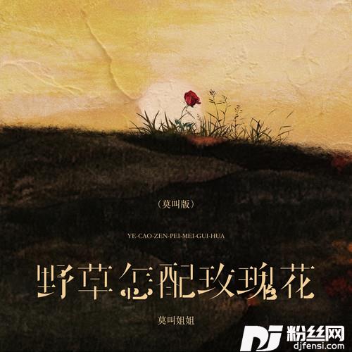野草怎配玫瑰花莫叫版