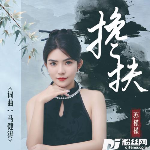 搀扶的专辑