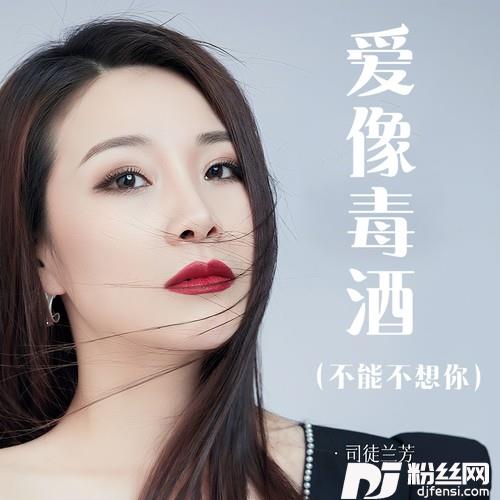 爱像毒酒（不能不想你）
