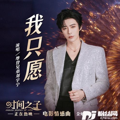 我只愿