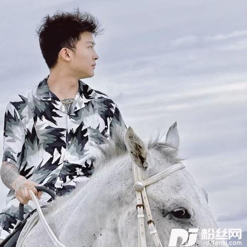 若是我有一天消失不见的专辑