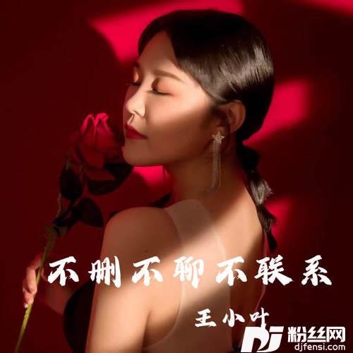 不删不聊不联系