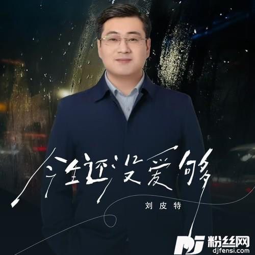 今生还没爱够的专辑