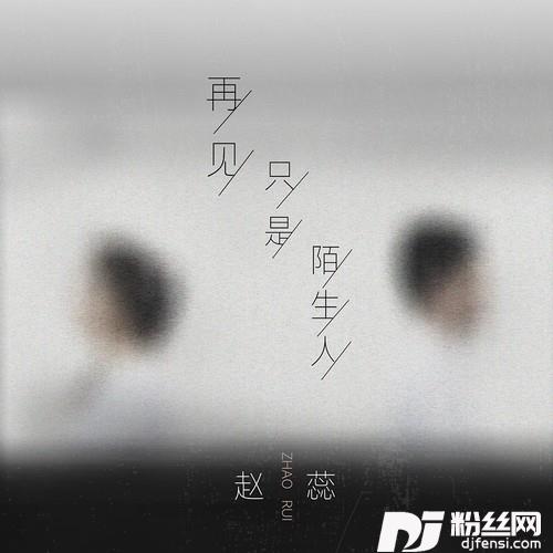 再见只是陌生人的专辑