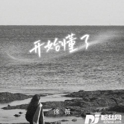 开始懂了的专辑
