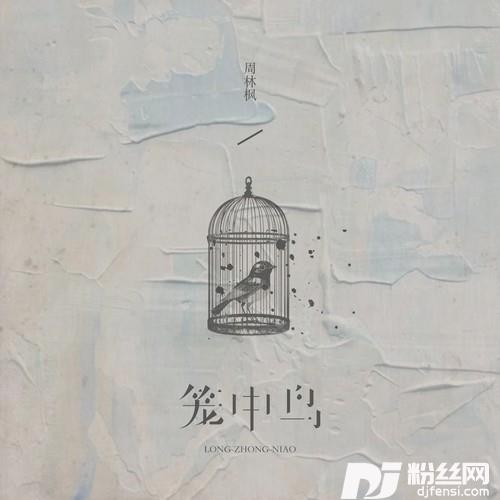 笼中鸟的专辑