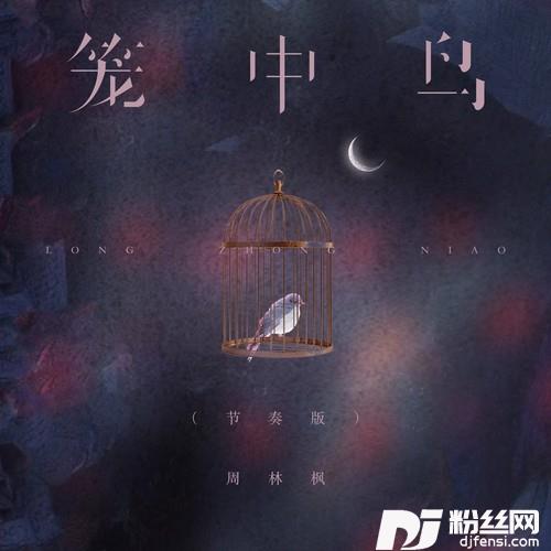 笼中鸟节奏版的专辑