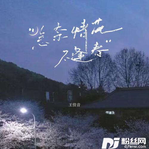 怎奈情花不逢春的专辑