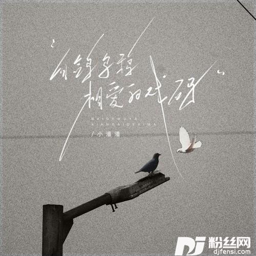 白鸽乌鸦相爱的戏码的专辑