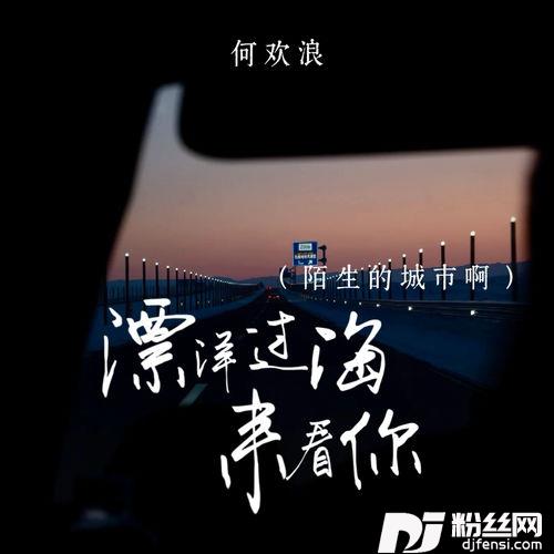 漂洋过海来看你陌生的城市啊的专辑