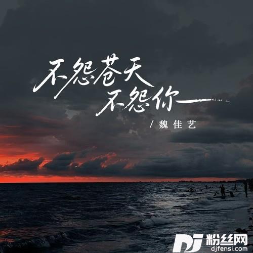 不怨苍天不怨你