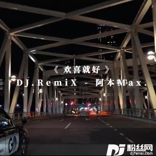 欢喜就好DJ阿本版的专辑
