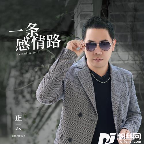 一条感情路