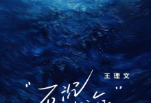 石沉大海_王理文